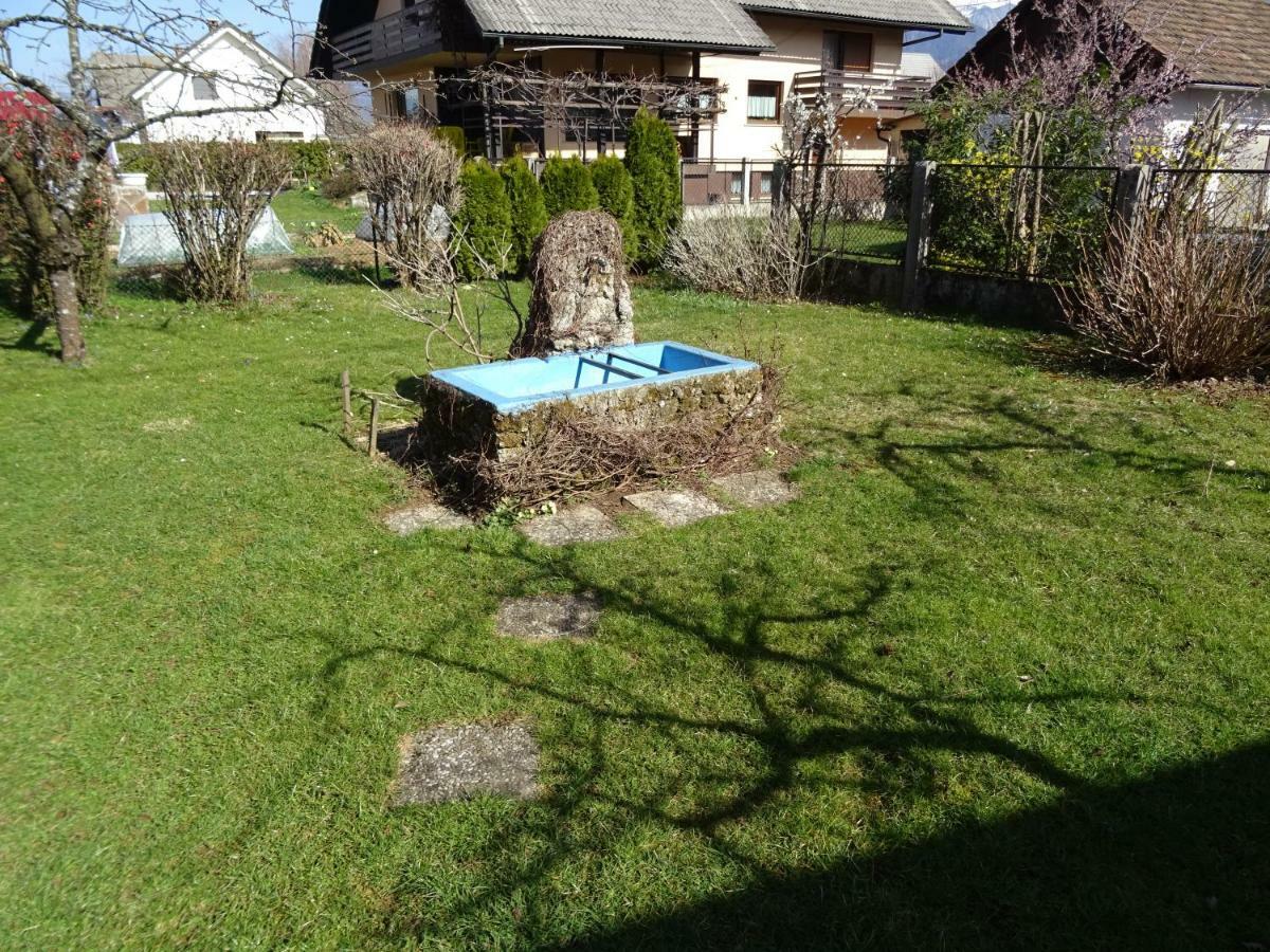 Apartment Tjasa Radovljica Exteriör bild